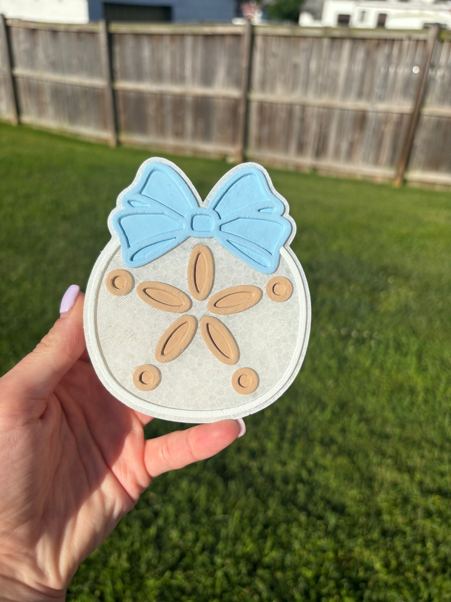 Sand Dollar